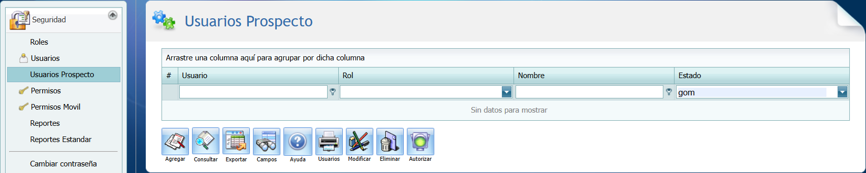 Seguridad Usuarios Prospecto