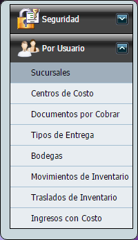 Seguridad Por Usuario
